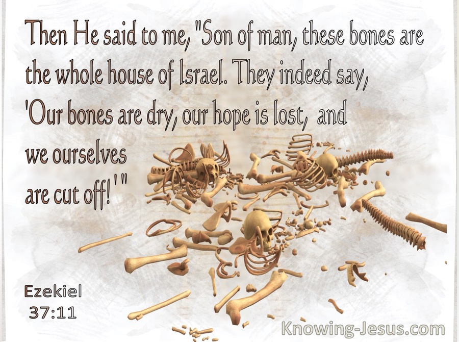 Ezekiel 37:11 Son Of Man These Bones Are The Whole House Of Israel (gray)